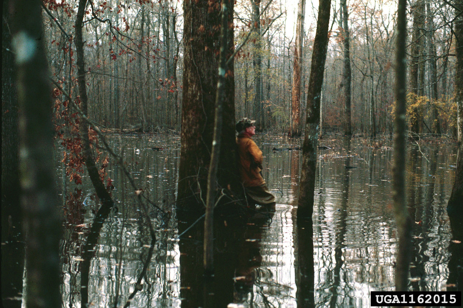 Photo of a man hunting leaned against a tree in knee deep swamp water.